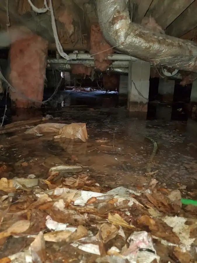 Crawl space flood assessment for Commercial Water Damage Restoration in Fishhook