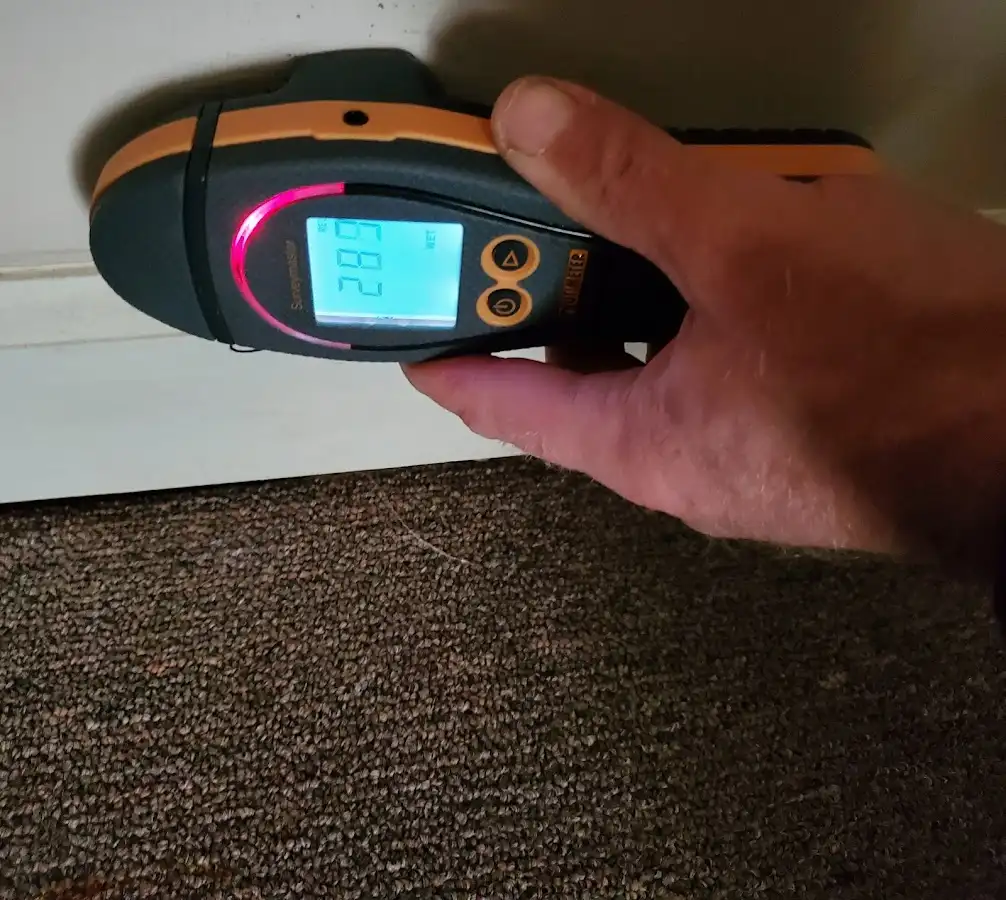 Moisture detection at baseboard during Mold Inspection & Testing in Fishhook