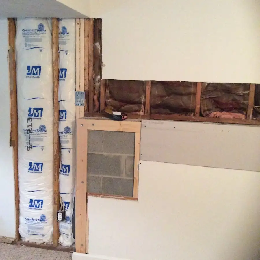 Wall insulation replacement during Odor Removal & Deodorization in Fishhook